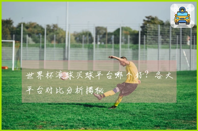 世界杯滚球买球平台哪个好？各大平台对比分析揭秘