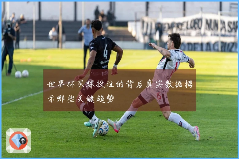 世界杯买球投注的背后真实数据揭示哪些关键趋势
