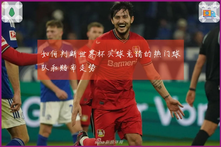 如何判断世界杯买球竞猜的热门球队和赔率走势
