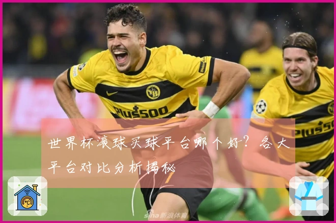 世界杯滚球买球平台哪个好？各大平台对比分析揭秘