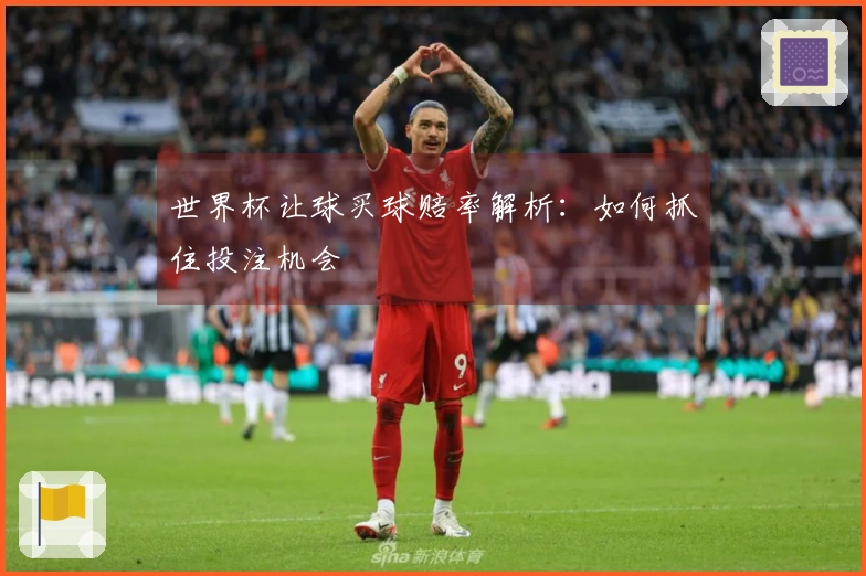 世界杯让球买球赔率解析：如何抓住投注机会