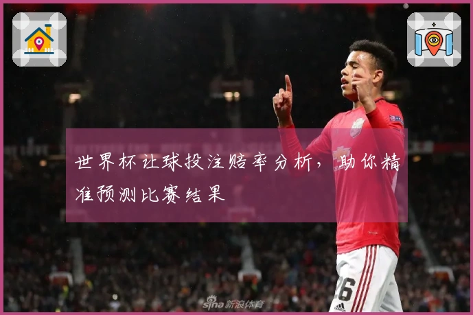 世界杯让球投注赔率分析，助你精准预测比赛结果