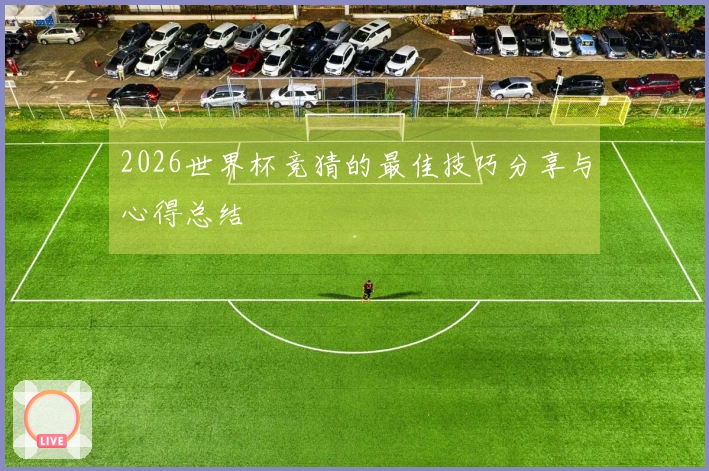 2026世界杯竞猜的最佳技巧分享与心得总结