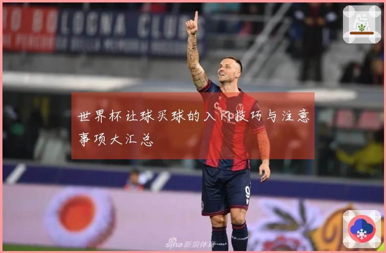 世界杯让球买球的入门技巧与注意事项大汇总