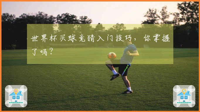 世界杯买球竞猜入门技巧，你掌握了吗？