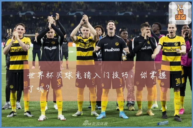 世界杯买球竞猜入门技巧，你掌握了吗？