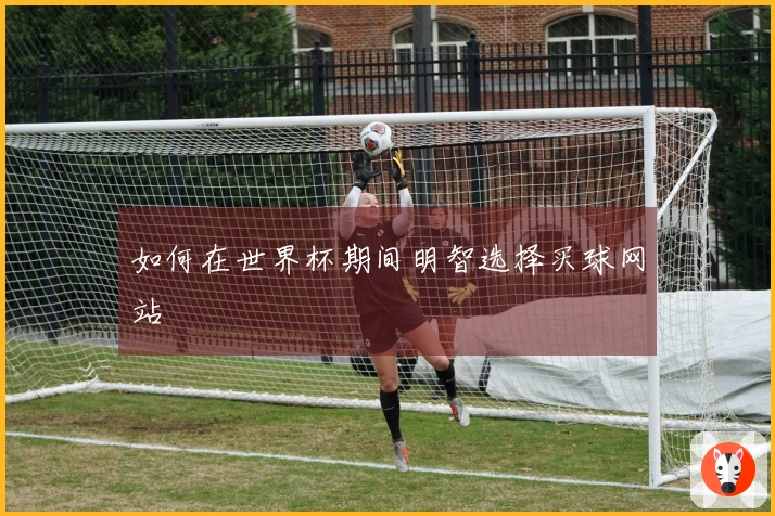 如何在世界杯期间明智选择买球网站