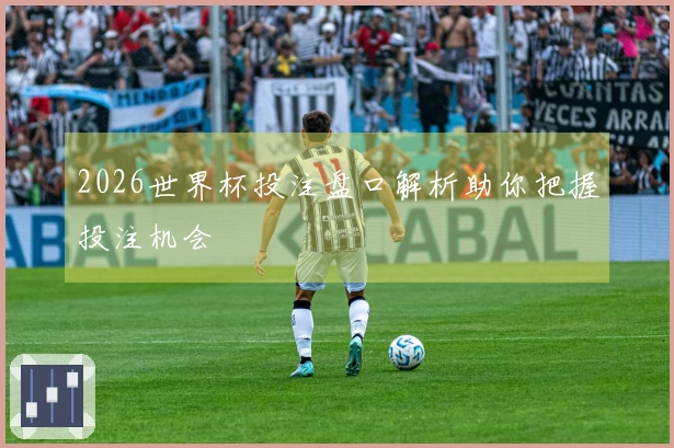 2026世界杯投注盘口解析助你把握投注机会